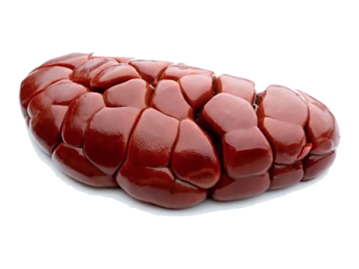 Beef Kidney