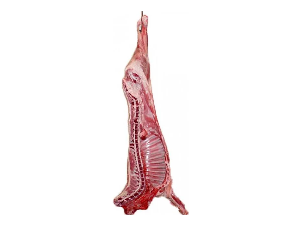 Half Lamb Share