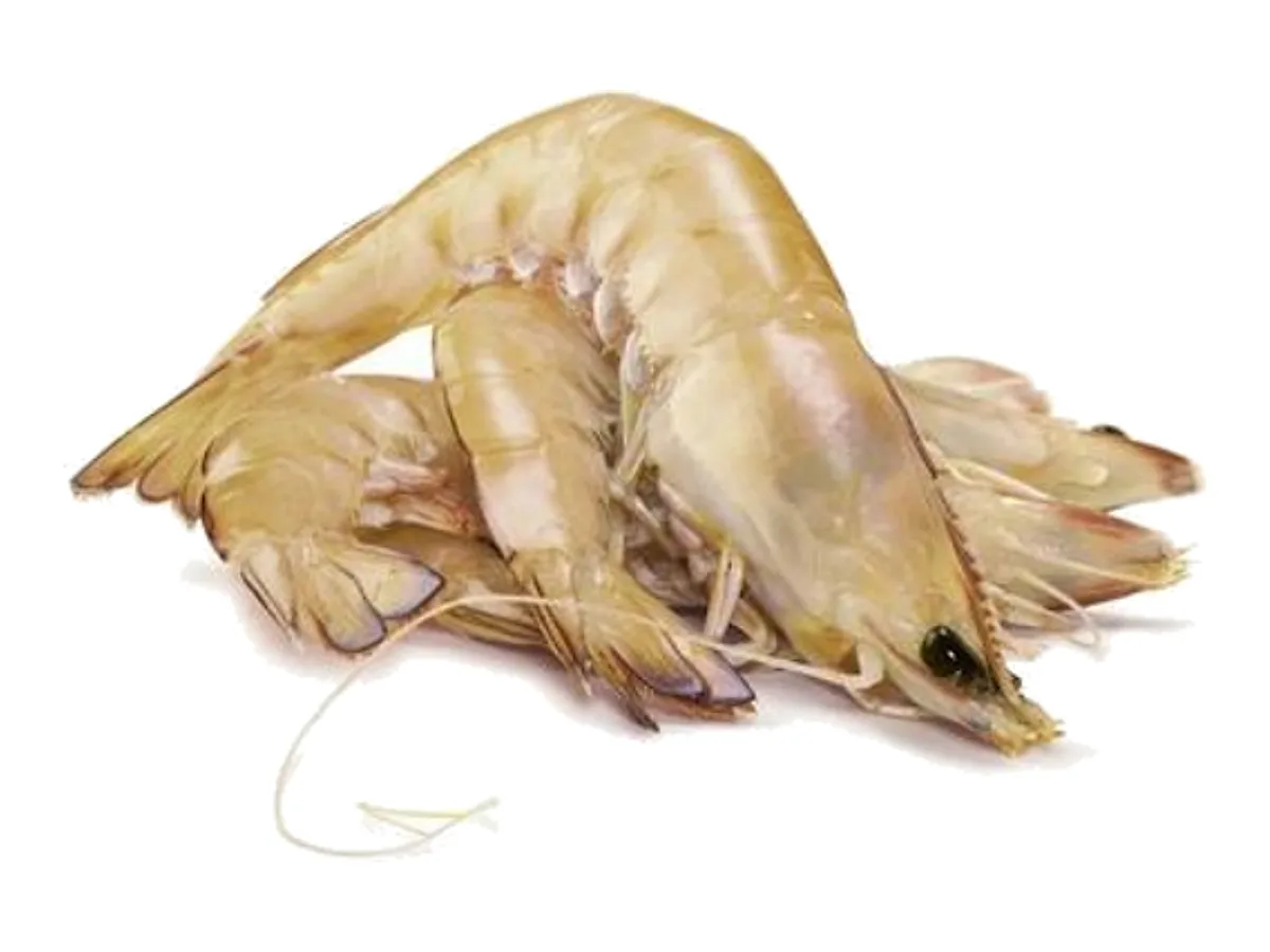Medium Green King Prawns