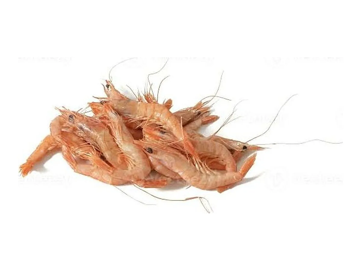 School Prawns