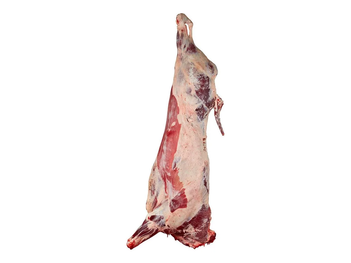 Whole Beef Share